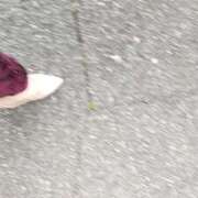 ヒメ日記 2025/05/23 08:46 投稿 えみ feel＆airi