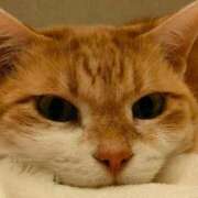 ヒメ日記 2025/10/05 08:57 投稿 えみ feel＆airi