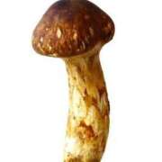 ヒメ日記 2025/10/17 08:53 投稿 えみ feel＆airi