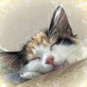 ヒメ日記 2026/02/25 07:36 投稿 るい feel＆airi