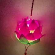 ヒメ日記 2025/02/09 23:36 投稿 なおこ feel＆airi