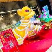 ヒメ日記 2025/02/11 07:46 投稿 なおこ feel＆airi