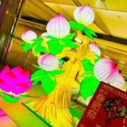 ヒメ日記 2025/02/14 21:56 投稿 なおこ feel＆airi