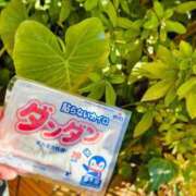 ヒメ日記 2025/02/22 09:16 投稿 なおこ feel＆airi