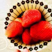 ヒメ日記 2025/02/25 23:11 投稿 なおこ feel＆airi