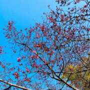 ヒメ日記 2025/02/28 15:06 投稿 なおこ feel＆airi