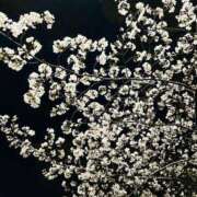 ヒメ日記 2025/04/08 20:56 投稿 なおこ feel＆airi