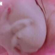 ヒメ日記 2025/04/25 17:06 投稿 なおこ feel＆airi