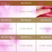 ヒメ日記 2025/06/02 11:06 投稿 なおこ feel＆airi