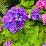 ヒメ日記 2025/06/10 19:36 投稿 なおこ feel＆airi