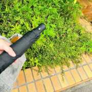 ヒメ日記 2025/07/15 11:16 投稿 なおこ feel＆airi