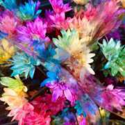 ヒメ日記 2026/02/03 09:46 投稿 なおこ feel＆airi