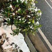 ヒメ日記 2026/02/08 23:26 投稿 なおこ feel＆airi