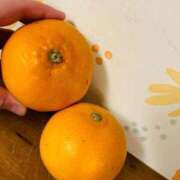 ヒメ日記 2026/04/15 23:15 投稿 なおこ feel＆airi