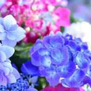 さえこ こんにちは feel＆airi