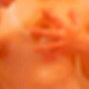 ヒメ日記 2025/03/29 14:36 投稿 あゆむ feel＆airi