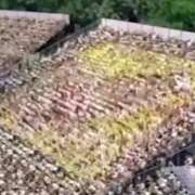 ヒメ日記 2025/07/03 11:56 投稿 あゆむ feel＆airi