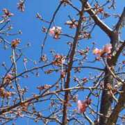 ヒメ日記 2025/02/28 07:06 投稿 しずく feel＆airi