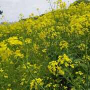 ヒメ日記 2025/03/02 23:36 投稿 しずく feel＆airi