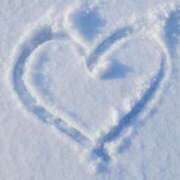 ヒメ日記 2025/03/04 08:06 投稿 しずく feel＆airi