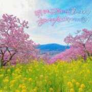 ヒメ日記 2025/03/11 07:56 投稿 しずく feel＆airi