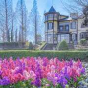 ヒメ日記 2026/03/17 19:35 投稿 しずく feel＆airi