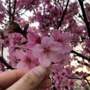 ヒメ日記 2025/03/27 08:36 投稿 ほなみ feel＆airi