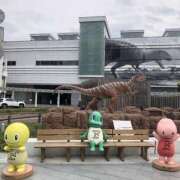 ヒメ日記 2025/04/29 10:36 投稿 ほなみ feel＆airi