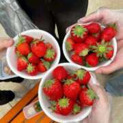 ヒメ日記 2025/06/14 10:26 投稿 ほなみ feel＆airi