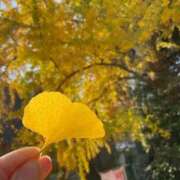 ヒメ日記 2025/12/05 07:26 投稿 ほなみ feel＆airi