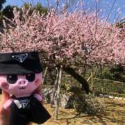 ヒメ日記 2026/03/18 07:35 投稿 ほなみ feel＆airi