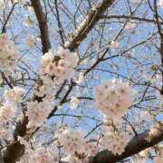 ヒメ日記 2026/03/26 07:31 投稿 ほなみ feel＆airi