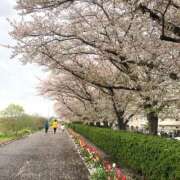 ほなみ おはようございます🌸⸜🌷︎⸝ feel＆airi