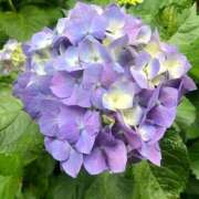 ヒメ日記 2026/06/03 20:55 投稿 ほなみ feel＆airi
