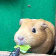 ヒメ日記 2026/06/13 10:38 投稿 ほなみ feel＆airi
