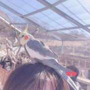 ヒメ日記 2025/02/28 21:46 投稿 のぞみ feel＆airi