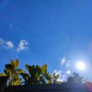 ヒメ日記 2025/03/20 14:56 投稿 ゆみこ feel＆airi