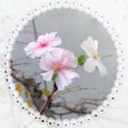 ヒメ日記 2025/03/26 21:06 投稿 ゆみこ feel＆airi