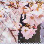 ヒメ日記 2025/03/28 20:20 投稿 ゆみこ feel＆airi