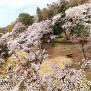 ヒメ日記 2025/04/07 20:06 投稿 ゆみこ feel＆airi