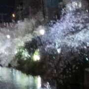 ヒメ日記 2025/04/16 22:46 投稿 ゆみこ feel＆airi