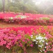 ヒメ日記 2025/04/20 23:46 投稿 ゆみこ feel＆airi