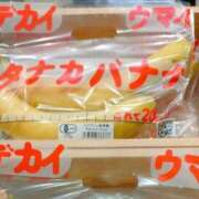 ヒメ日記 2025/04/24 17:16 投稿 ゆみこ feel＆airi