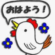 ヒメ日記 2025/07/13 08:27 投稿 ゆみこ feel＆airi