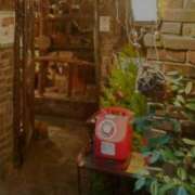 ヒメ日記 2025/07/24 22:16 投稿 ゆみこ feel＆airi