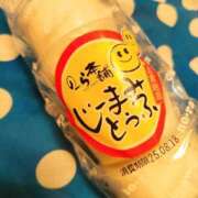 ヒメ日記 2025/08/15 08:46 投稿 ゆみこ feel＆airi