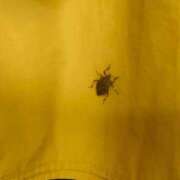 ヒメ日記 2025/09/13 17:06 投稿 ゆみこ feel＆airi