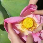 ヒメ日記 2025/09/17 10:36 投稿 ゆみこ feel＆airi