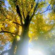 ヒメ日記 2025/11/04 17:16 投稿 ゆみこ feel＆airi