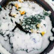 ヒメ日記 2026/02/08 12:26 投稿 ゆみこ feel＆airi